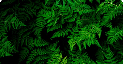 Instagram Story Hacks: 10 Tips to Boost Your Engagement